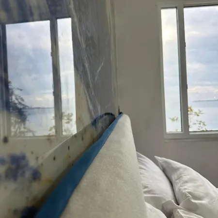 Front Superior Blue Marine